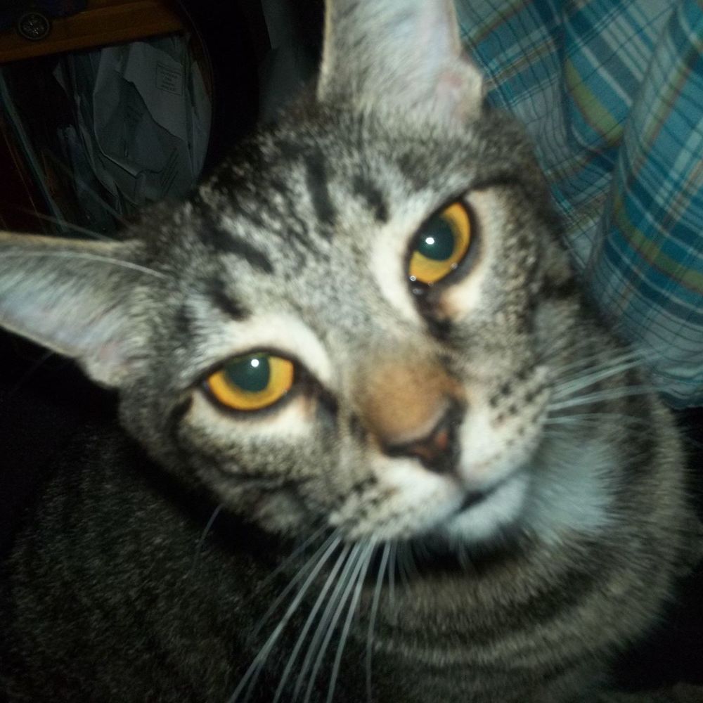 Meet your Posher, Mike